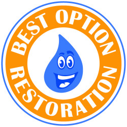 B.O.R. Restoration logo