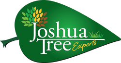 Joshua Tree Experts logo